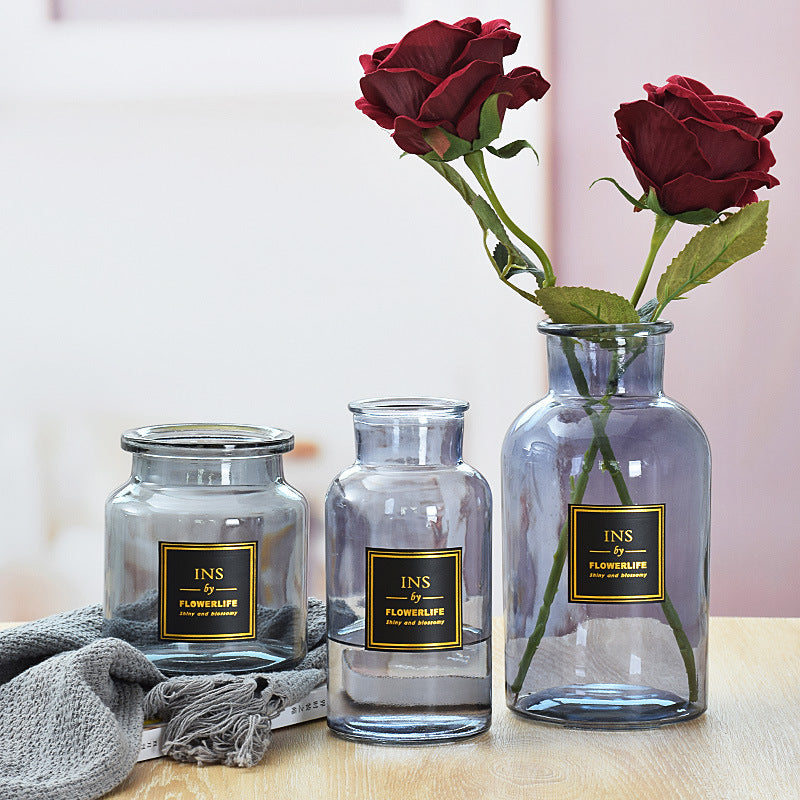 Modern Clear Glass Hydroponic Vase - Minimalist Transparent Flower Container for Home Decor & Plant Propagation