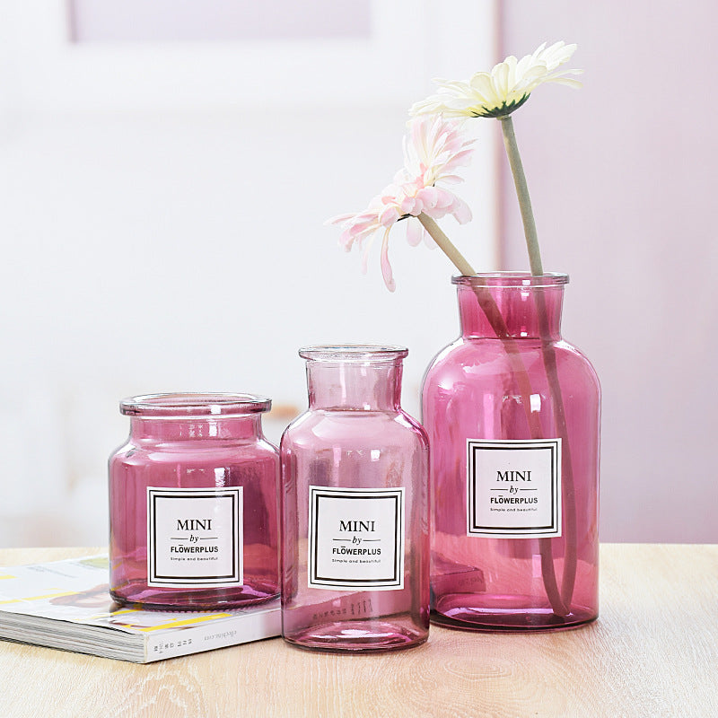 Modern Clear Glass Hydroponic Vase - Minimalist Transparent Flower Container for Home Decor & Plant Propagation