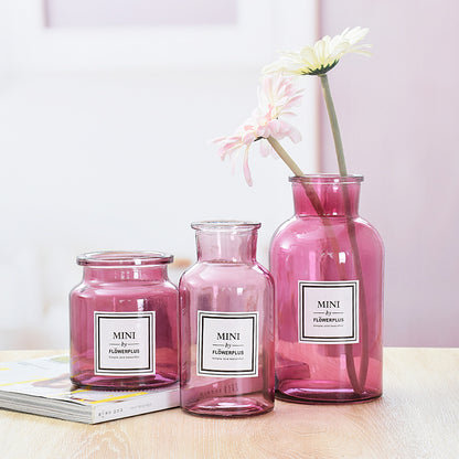 Modern Clear Glass Hydroponic Vase - Minimalist Transparent Flower Container for Home Decor & Plant Propagation